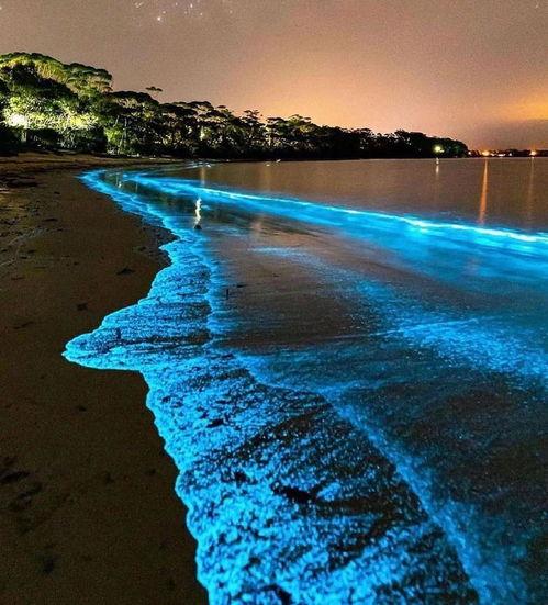 蓝色的大海在线观看,在线观看大海的壮丽画卷  第3张